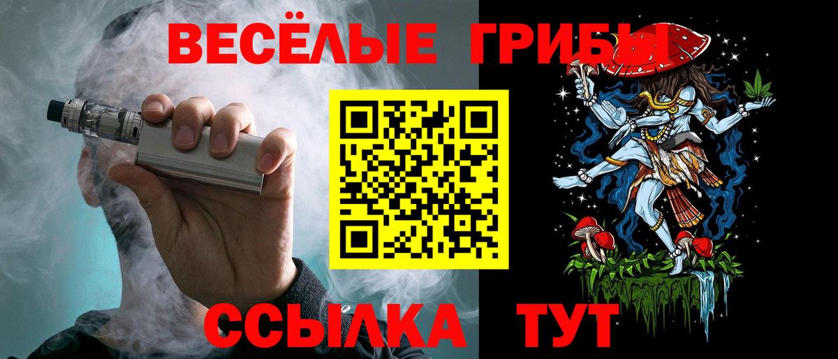 Псилоцибиновые грибы Magic Shrooms  Галлюциногенные грибы Psilocybine cubensis  где купить наркоту  Вход с VPN  Вязники 
