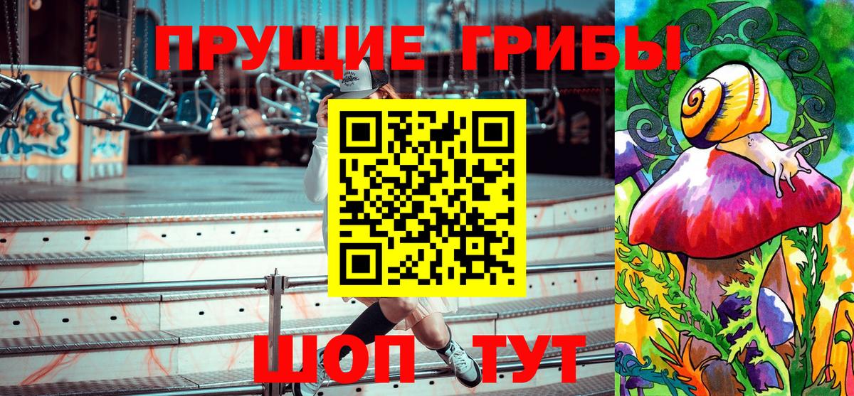 Галлюциногенные грибы Cubensis Вязники